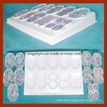 PVC Animal Cell Meiosis Model 10 PCS for Science Supplies